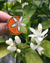 Geometric Orange Blossom pin by Rather Keen held in front of a blossoming orange tree branch