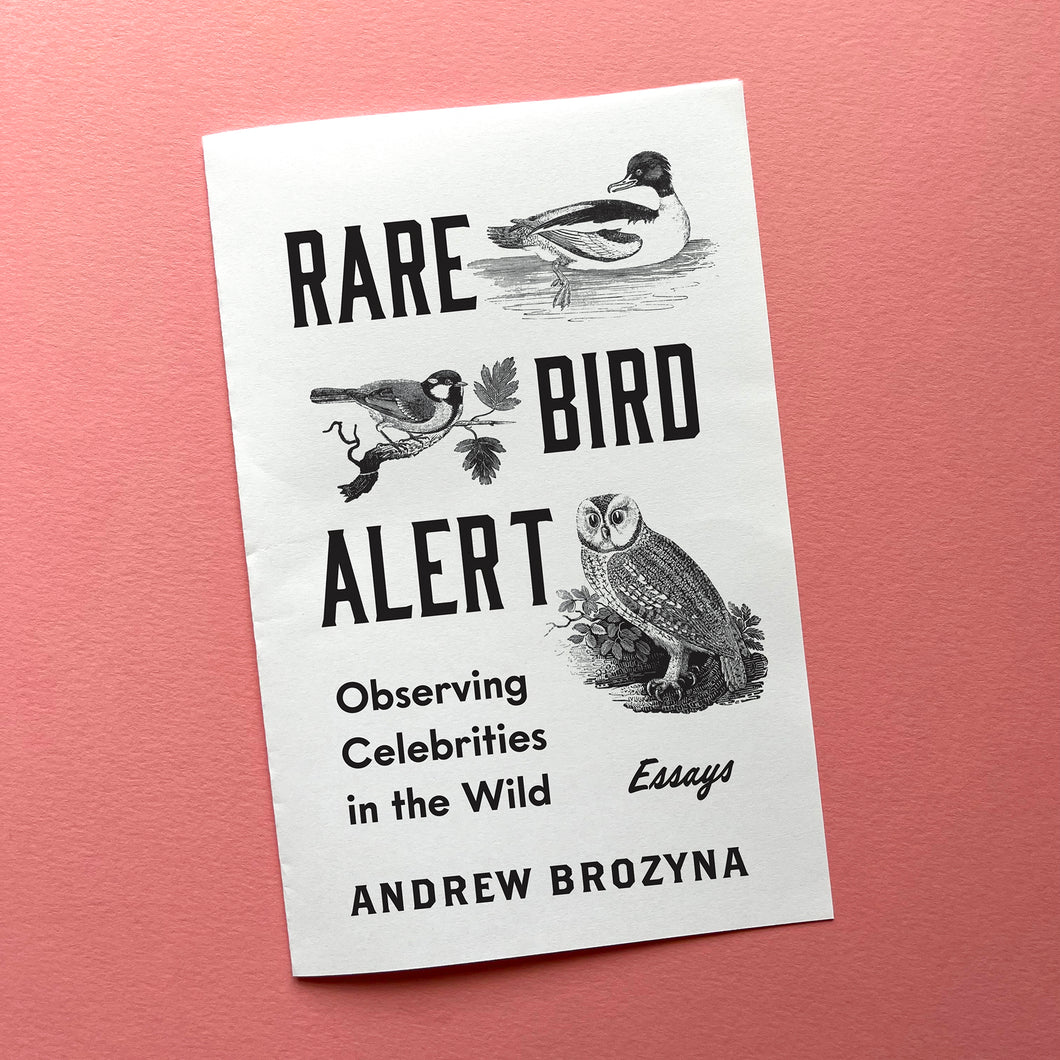 Cover of my zine Rare Bird Alert